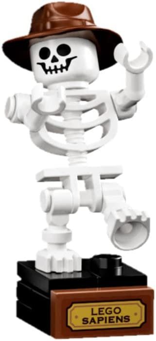 LEGO 21320 Ideas Dinosaurier Fossilien 910 Teile